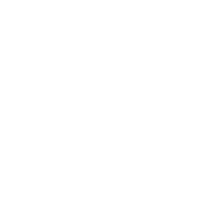 Project preview